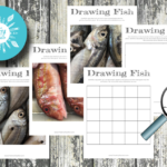 Grid Drawings of Fish