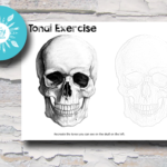 Skull Tonal Exercise