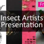 insect artists presentation