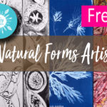 Natural Forms Artists