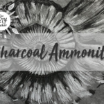 Charcoal Ammonite