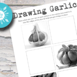 Drawing Garlic