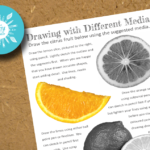 Drawing Citrus Fruit with Different Media